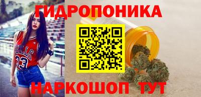 прущие крисы Можга