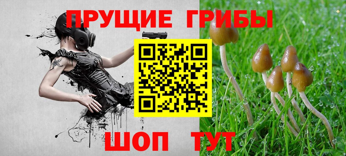 Сергиев Посад  Галлюциногенные грибы Psilocybe  Галлюциногенные грибы GOLDEN TEACHER  Вход с VPN 