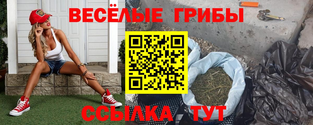 Псилоцибиновые грибы прущие грибы Сергиев Посад