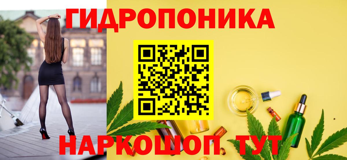 Сергиев Посад  Шишки марихуана план  Вход с VPN  Конопля THC 21% 